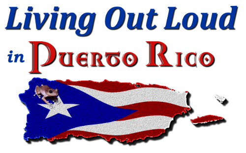 Living Out Lout in Puerto Rico